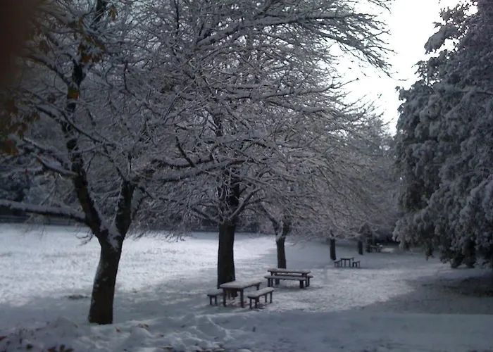 Hotel Ristorante Ferretti